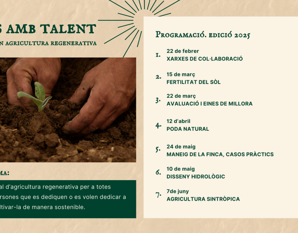 Vuitena edició del Programa Joves amb Talent