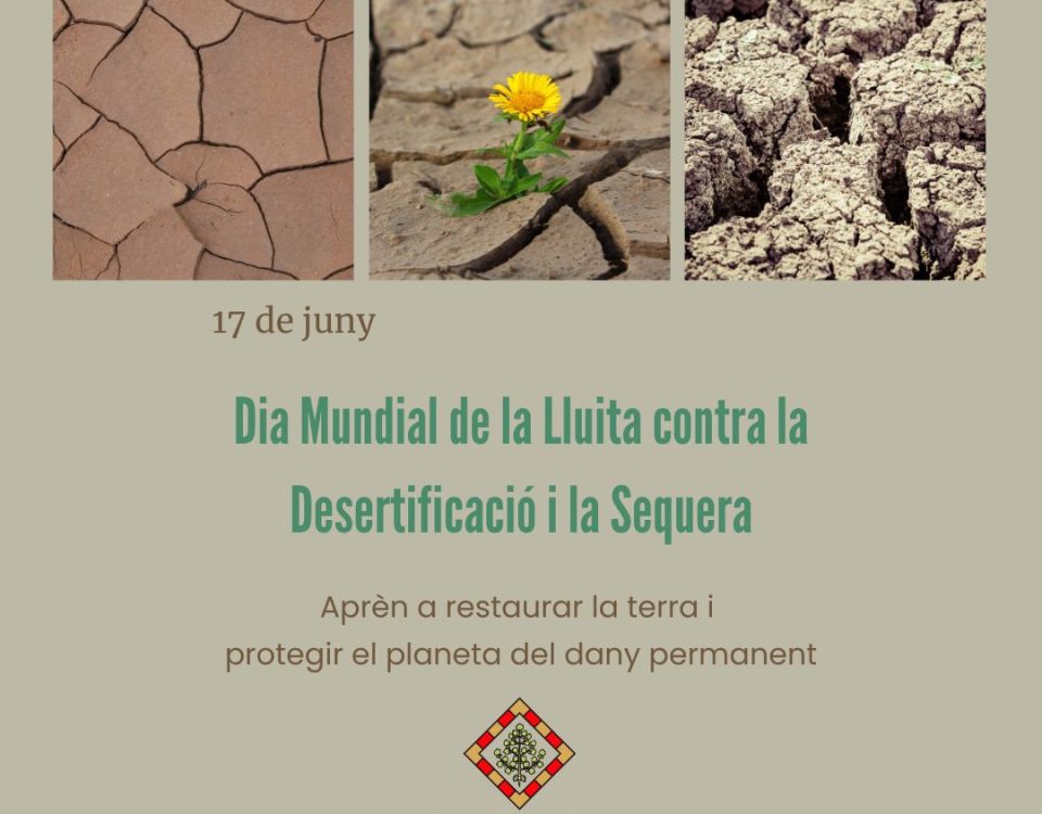 Dia Mundial de la Lluita contra la Desertificació i la Sequera