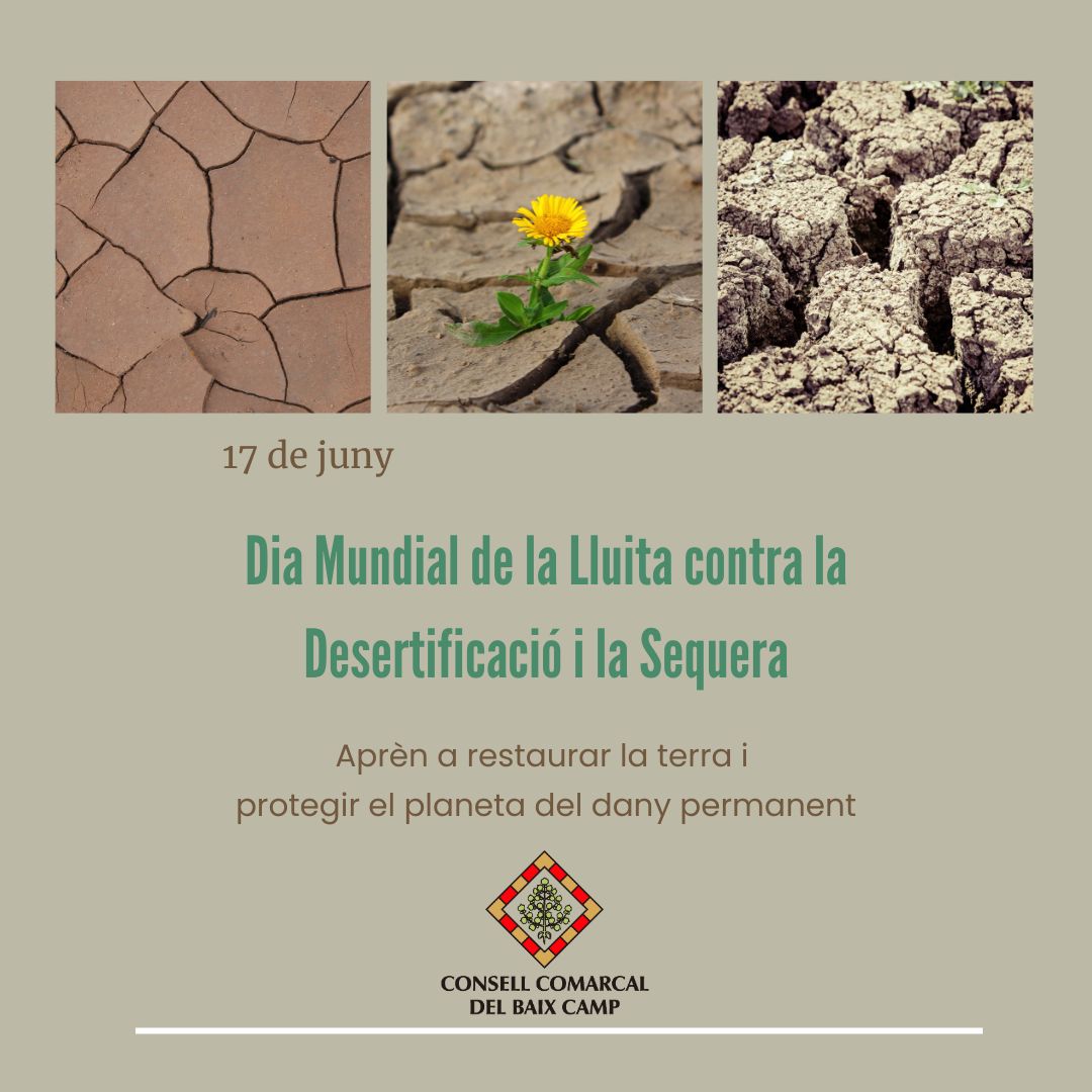 Dia Mundial de la Lluita contra la Desertificació i la Sequera