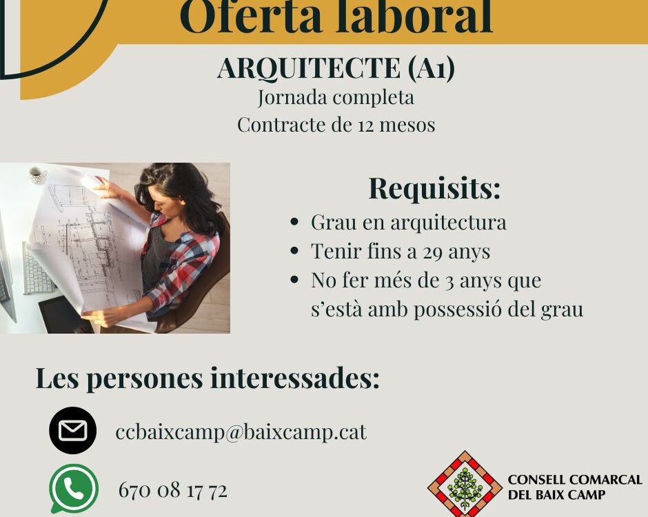 Contractes formatius per joves per adquirir experiència laboral