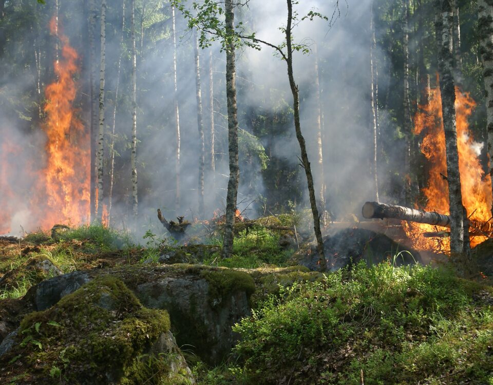 Prevenció risc d'incendis