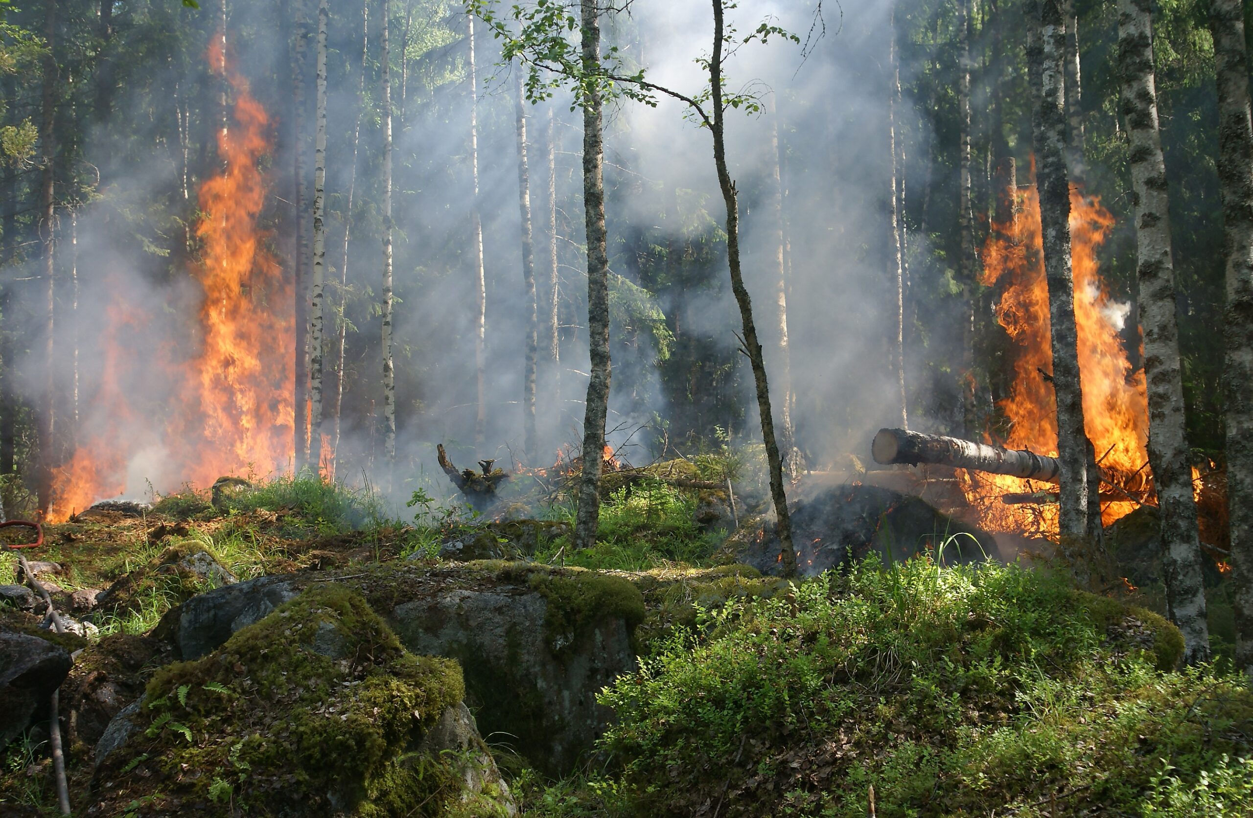 Prevenció risc d'incendis